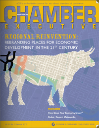 Chamber Executive Magazine -- Summer 2010 -- featuring a cover story by Bannon Communications President and CEO Shawn Bannon